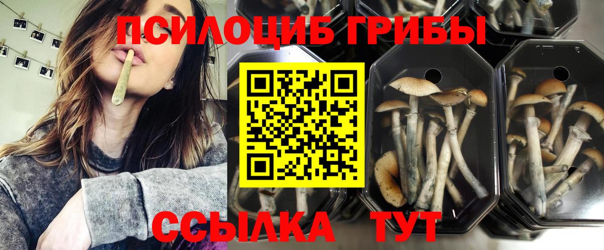 Галлюциногенные грибы MAGIC MUSHROOMS  Вход с VPN  Галлюциногенные грибы Magic Shrooms  Березники 